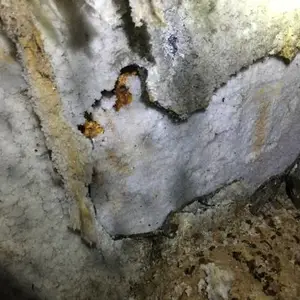 烟囱等高耸建筑物的现场检测与分析