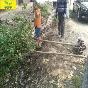 ���Գ�����Ƿ��� 1����2����3������Ƿ����� ��Ƿ�С��