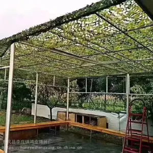 ɽ����ˮ�Բ�αװ��_�����ɶ����Բ�αװ��_2*3���Բ�αװ��������Ӧ
