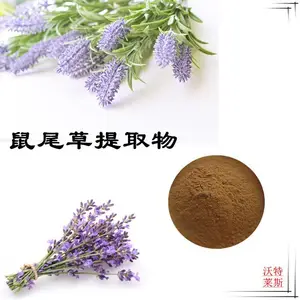 沃特莱斯生物 鼠尾草提取物10:1 萃取粉 棕黄色粉末 可水溶