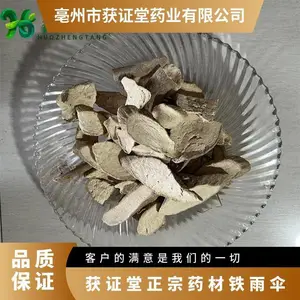 ��֤������ҩ������ɡ ������ҩ�Ļ�̿�� ԭ����ƽ��ľ����