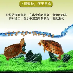 ������Ư������ʳƷ�豸 �ߵ��������ϻ�е ����������������