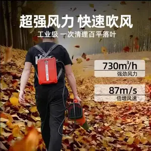 ���˵綯���������Ҷ����ʽ﮵���ʳ����ķ��***���ﴵѩ��
