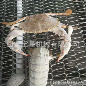隧道式螃蟹速冻机 海鲜速冻机 宝尔***造冷冻机械