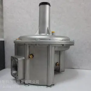 意大利giuliani anello调压器,FGDR50 原FSDR50【优质尽在奥丽斯特】