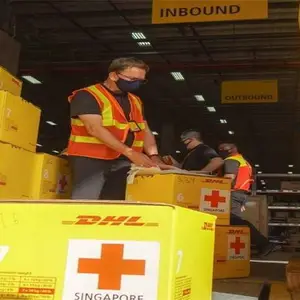 ����DHL���ʿ��-����DHL���-����DHL���������