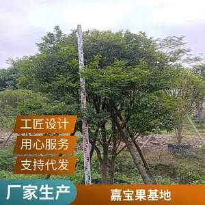 �α�������۸� �����α��� �α�������