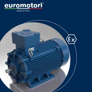 euromotori单相三相异步电机ATEX防爆电机双倍速度制动马达FEMM