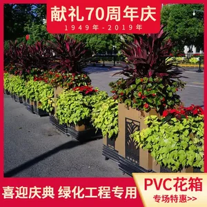 上海道路花箱花卉中的“天、地、人”思想