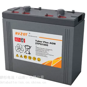 法国路盛TPA系列 2TPA100 2V1000Ah 交直流一体化电源
