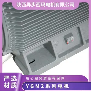 ������ʱ�Ƶ��� YVFE3-4503-4 630KW 660V ����Բ IP55����