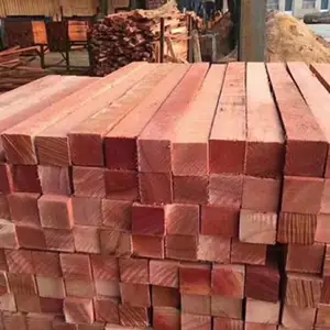�����ٹ�������ľ���� ��������ľ������