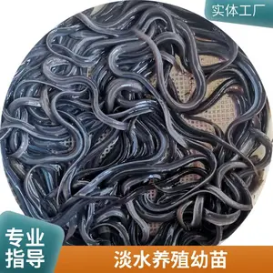 �������������� ��ˮ�������� ������ɻ�***ˮ������