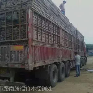 供应天津竹跳板-腾福竹木