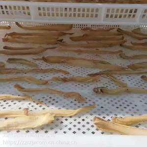 ���ϻ������ߺ�ɷ� ����ṩҩ�ĺ���豸���� �����е