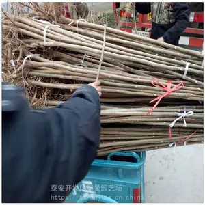 �󾰳��ۺ����㴻���� ��ѿ�㴻����������� ���ں��㴻��