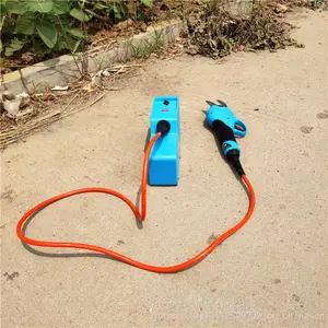 �๦�ܼ��õ綯���� �綯�޼�������