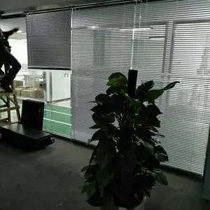��׵綯��Ҷ���������칫����������������Ҷ��ľ��Ҷ���Ƶ�д��¥������͸������