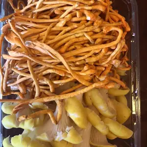 高原食材 菌鲜菌组合泡沫箱1公斤 净重600克 酒店 餐饮 家庭 一件代发