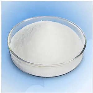 �Ķ����廯� ��ҵ�� ������ 99.5% �Ķ����廯� ��Ӧ