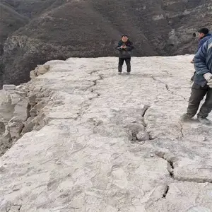 �Ĵ���ɽú������������Һ̬������ʹ���ٹ���