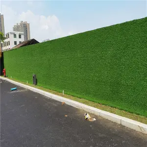 ��������̻��ٲ�ƺˮ����չ����Χǽװ��������ֲ�ٲ�Ƥ�ص��