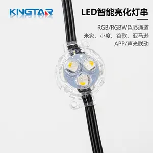 跨境热销屋檐灯3cm点光源RGBW全彩UCS2904防水跑马灯led装饰彩灯SMD5050灯珠12V像素灯