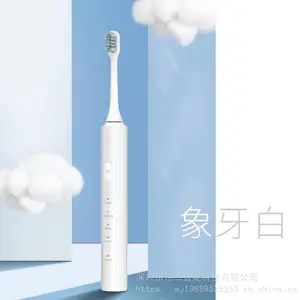 厂家批发 金鱼电动牙刷 声波式成人Type-c直充防水牙刷 工厂OEM礼品定制