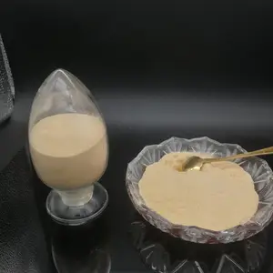 ���������֬_���ʿ��������֬_���������֬��������