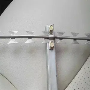 �Ϸʶ�п��Ƭ��˿������ ����ѧУ���������� ��п��Ͳ