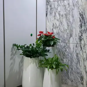 中山室内绿植租摆,中山花卉出租,中山租花公司,中山绿化养护