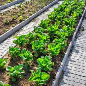 华亿建材 水泥菜沟板 菜园地沟板 耐腐蚀 美观整洁 施工便捷