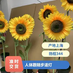 ��и������տ�װ���۾�����߿Ƽ������豸����