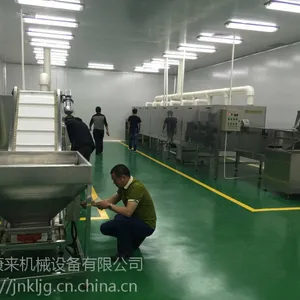 供应隧道炉开心果烘焙设备厂家