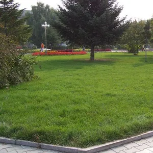 ��ɫ�������̲�Ƥ�� �������������Ƥ�� ��ɫ�˶�����Ƥ���ֻ���Ӧ