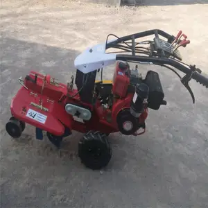 ���ʹ�п��������� ũҵ��԰������ ��԰���������� �Ʒ�