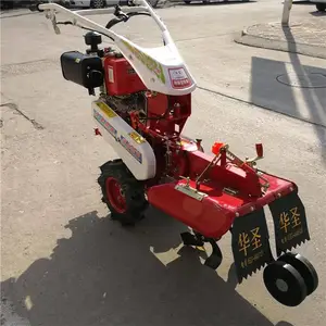 ��ǳ����С���ڹ��� ��Ǿ�����������