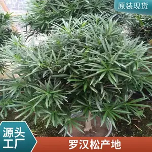 �ڷ�3-3.5�������޺��� ԰�־����̻������� �����޺���������