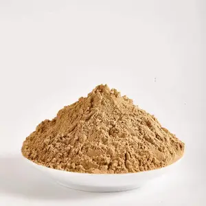ơ�ƽ�ĸ�� ������ �� ����ˮ������Ӫ�� ������������л�� ֧�ֶ���