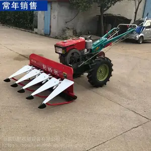 ���ʹ�������ɹ�� С����������� ũ����ո��ո������