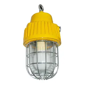 ��Զ�������ø�����������DGS70/ 127B(B) LED�������