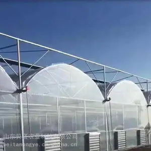 内蒙古薄膜连栋温室方案,河南新型温室大棚 贝塔农业