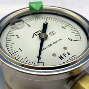 ASK ����ѹ���� OPG-DT-R1/4-39X10MPA-S �������