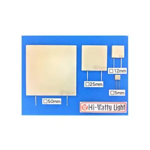 供应日本WATTY 半导体用氮化铝加热器□20mm A \ N 快速升降温