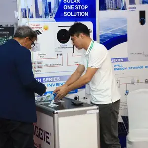 聚焦东非能源蓝海:2026年第十届坦桑尼亚电力及能源展前瞻