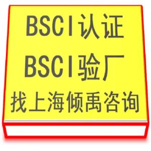 上海BSCI验厂辅导公司BSCI验厂验厂申请 来电咨询 上海倾禹企业管理咨询供应