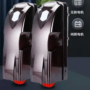 防风防水纯铜无刷电机智能庭院家用别墅遥控双开门八字开门机
