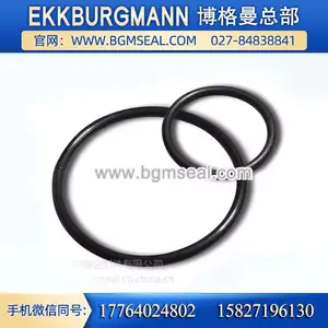 EKKBURGMANN博格曼 全氟醚橡胶圈 耐腐蚀耐高温