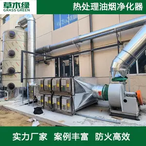 草木绿热处理车间油烟净化设备 网带炉/多用炉/井式炉废气净化