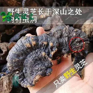 ����Ұ��������֥��ҩ���������ѡ����ɫ�N��